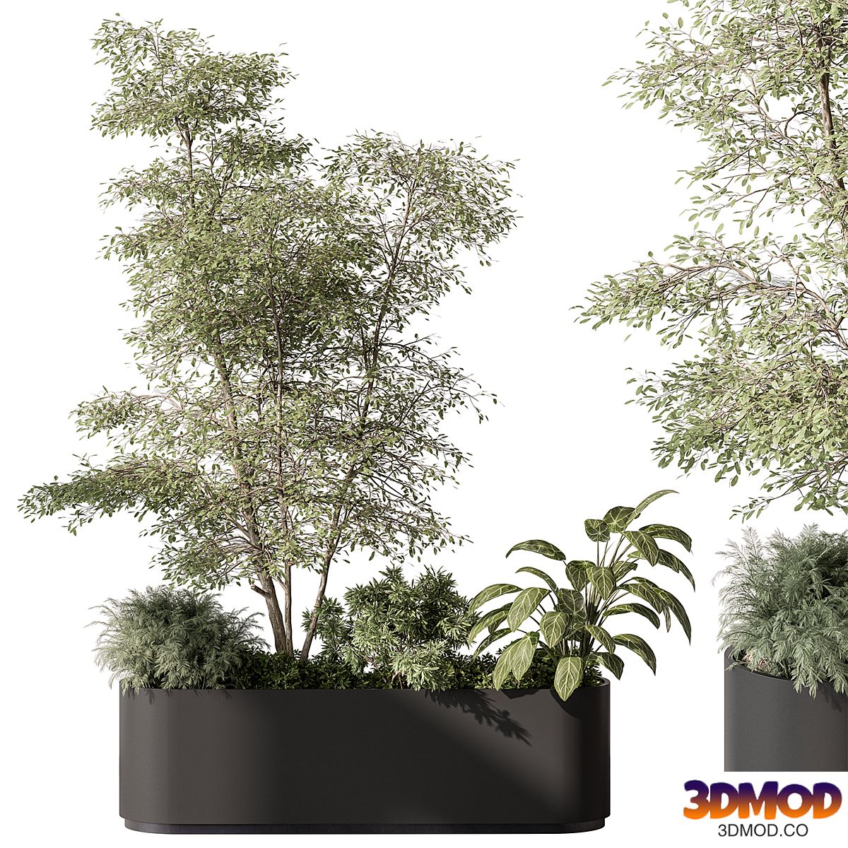 Plant Box - Outdoor Plants 515
