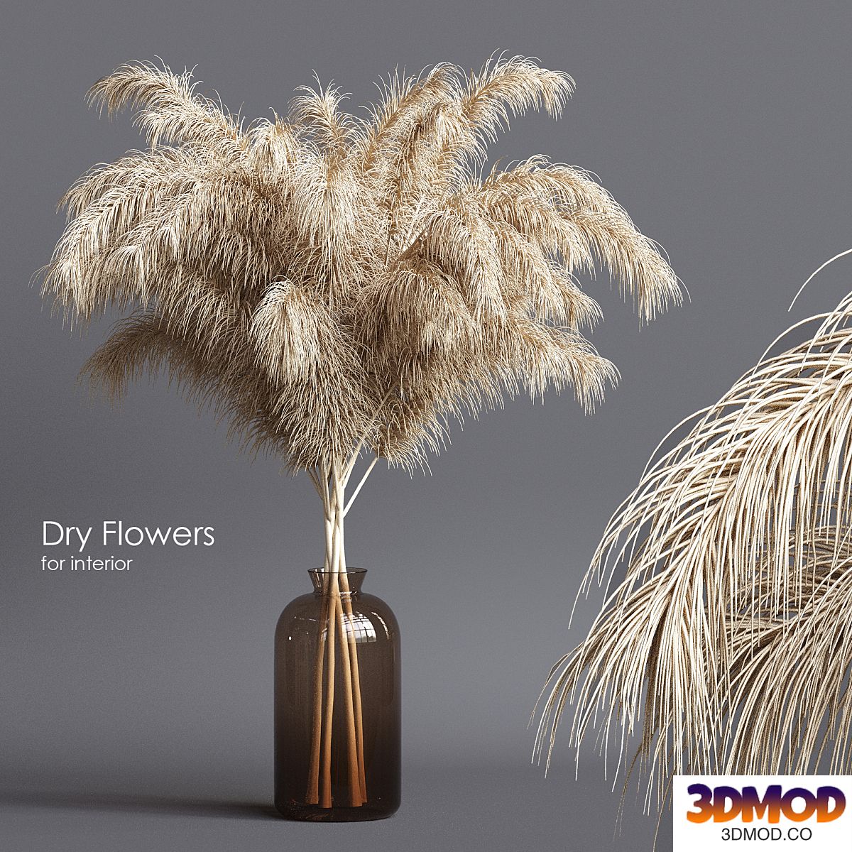 Dry flowers 03