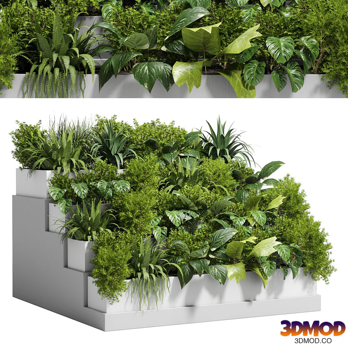 Stairs plant - Collection outdoor indoor plant 78 concrete vase pot fern bush grass