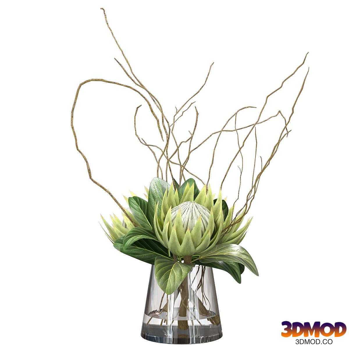 Green bouquet with protea