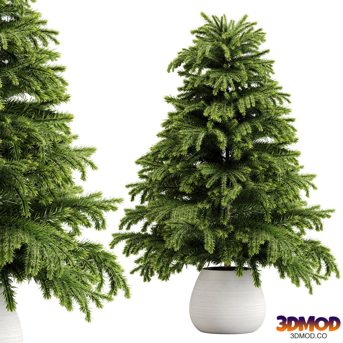 indoor plant Set 18