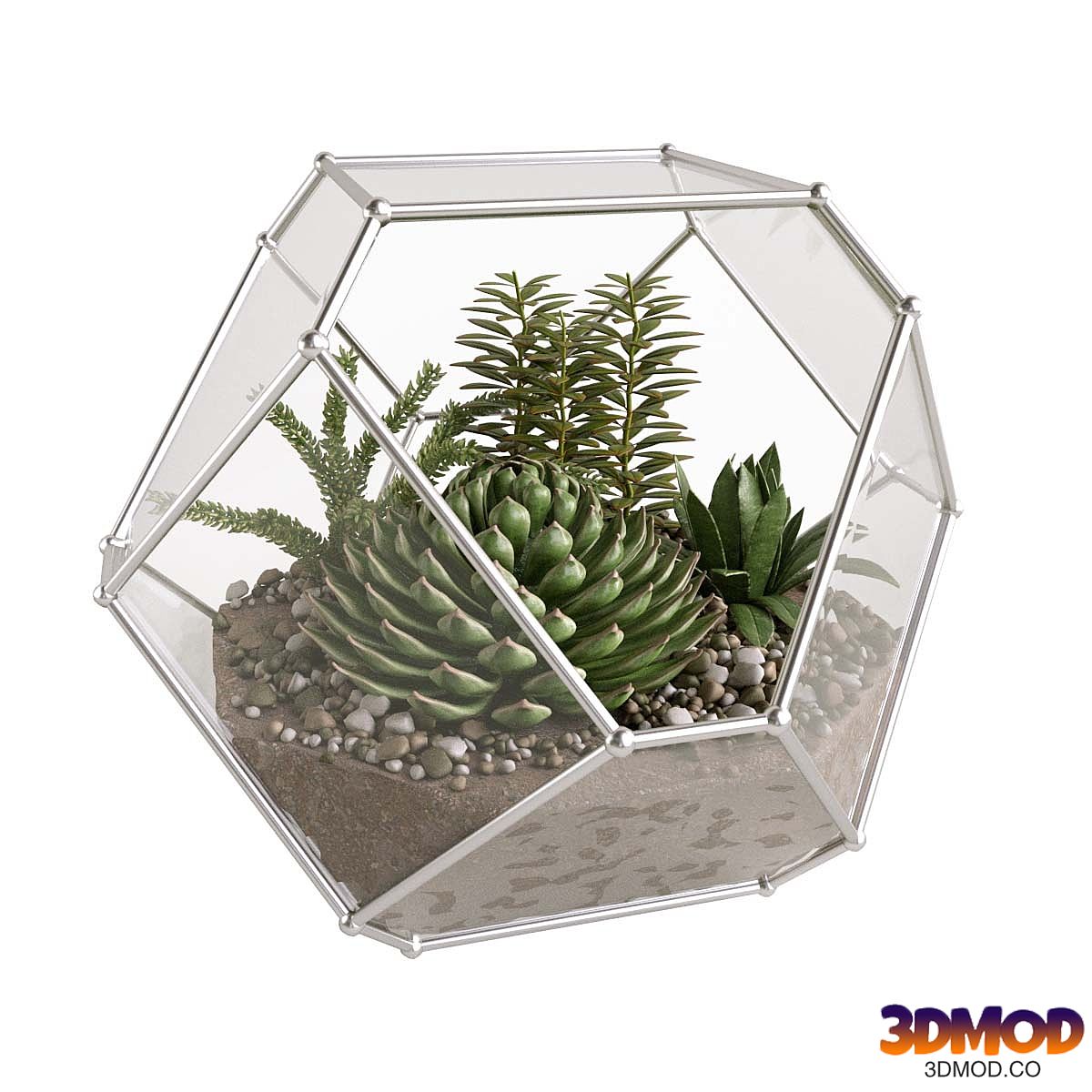 Florarium with succulents