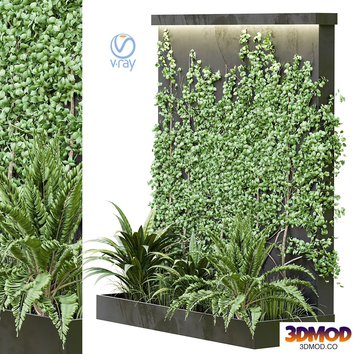 Outdoor Plant Vol38