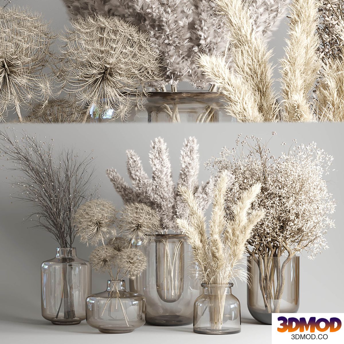 Dry Bouquet Collection 05 - Dried autumn plants and flowers