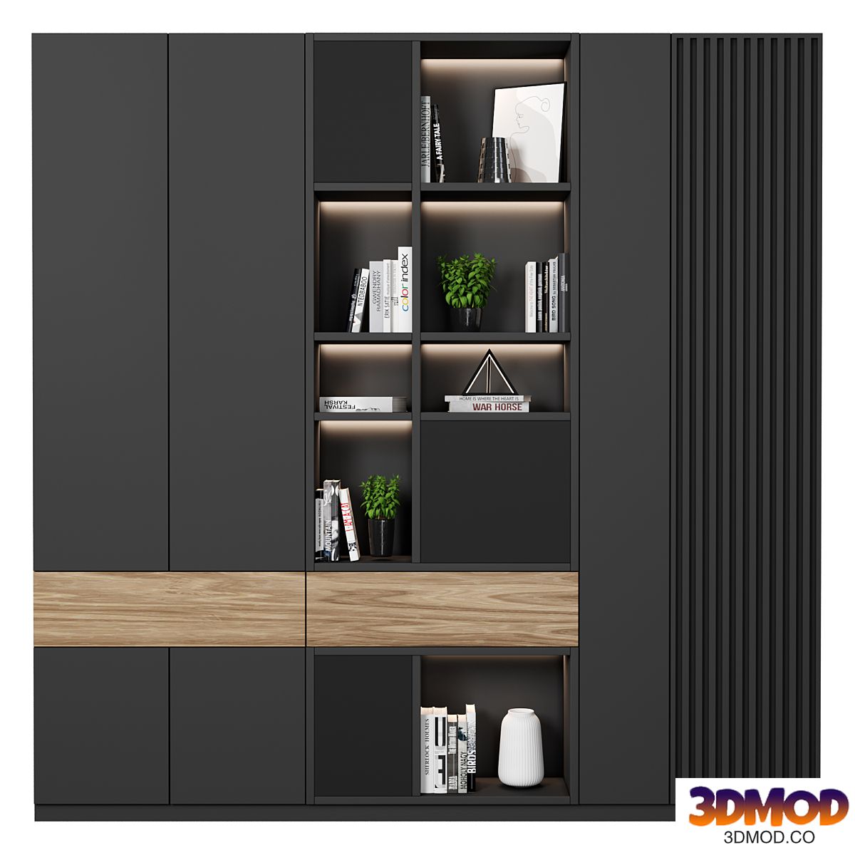 Cabinet with shelves 21