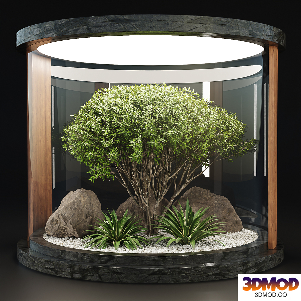Indoor Garden with Plants collection vol 194