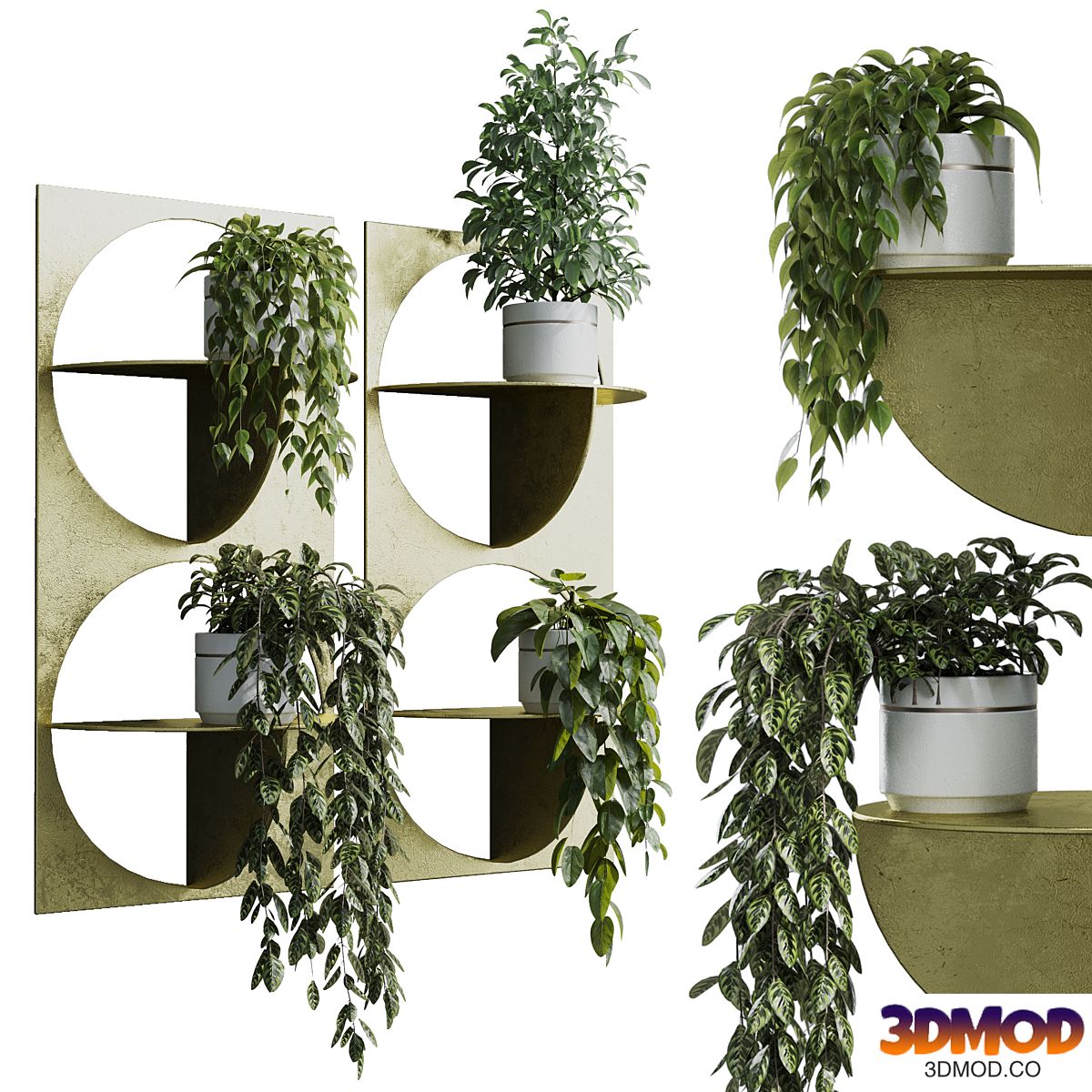 wall plant - set Indoor plant 365 plants in on a shelf
