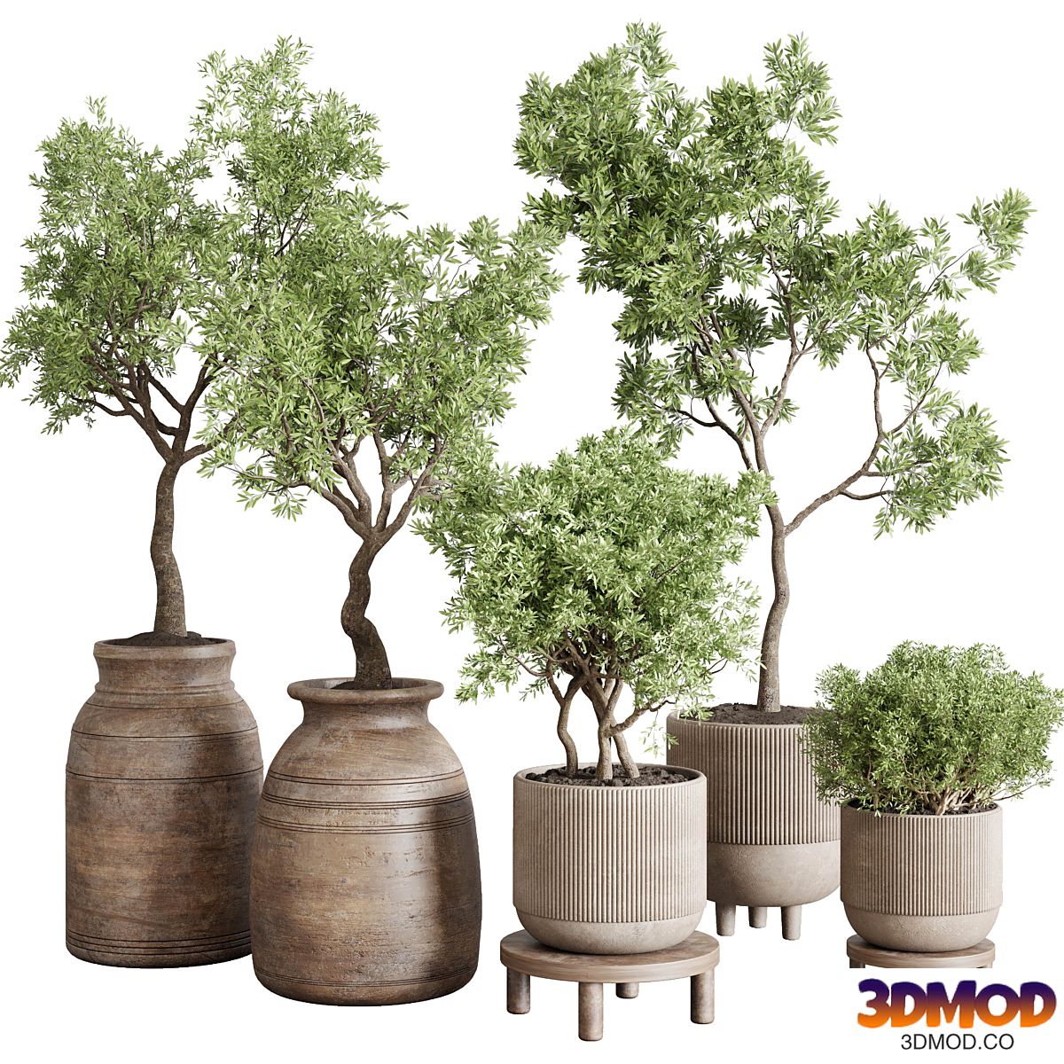 wood collection indoor outdoor plant 141 vase concrete old pot tree vray