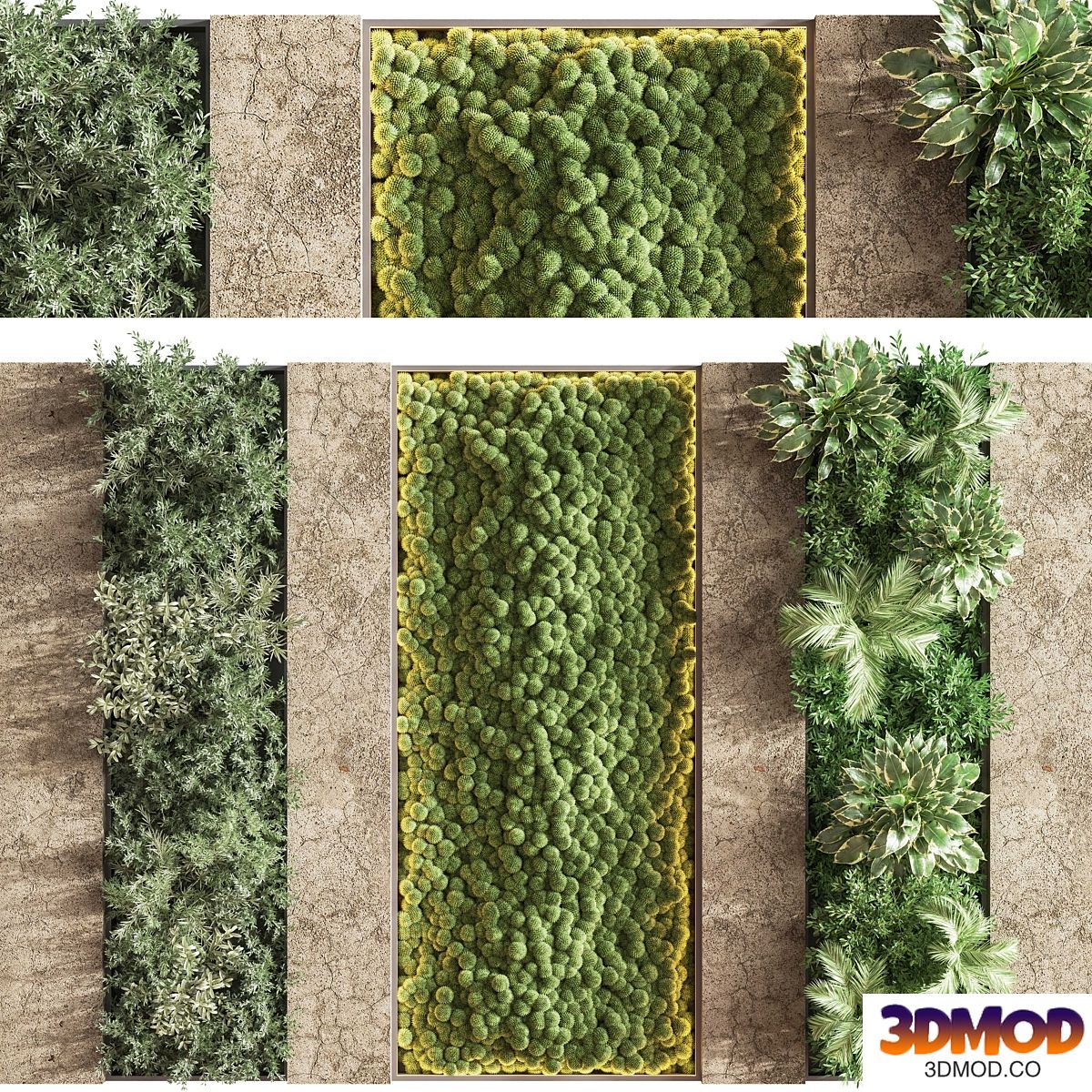 Concrete and Vertical Garden 02