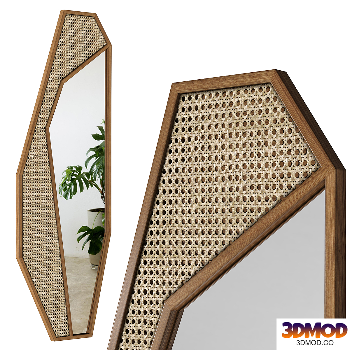 Mirror Rattan Cactus / Cactus