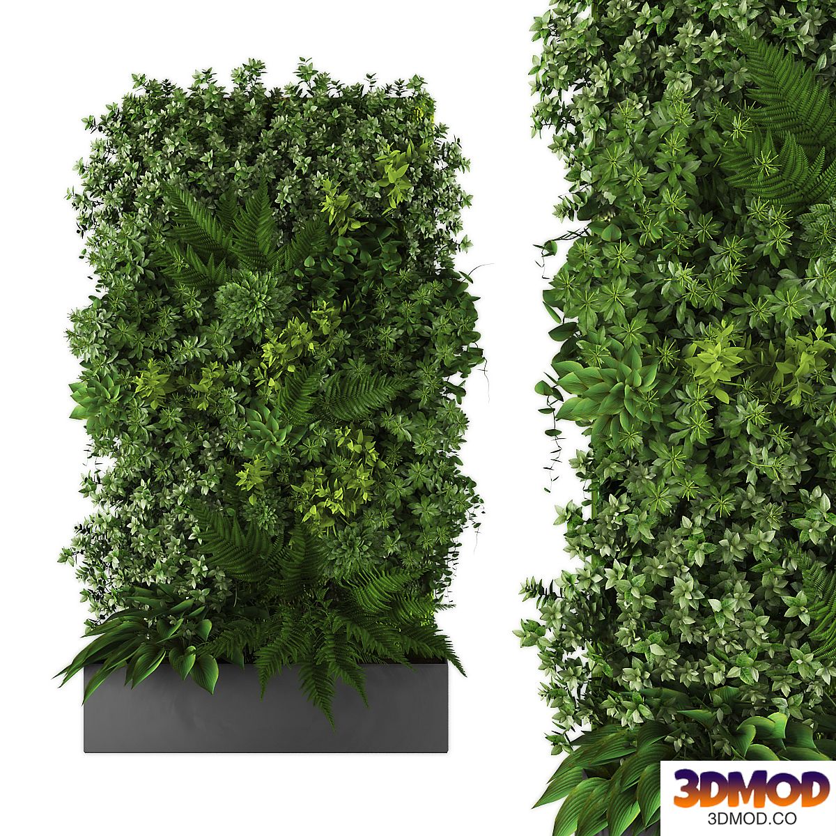 vertical garden167