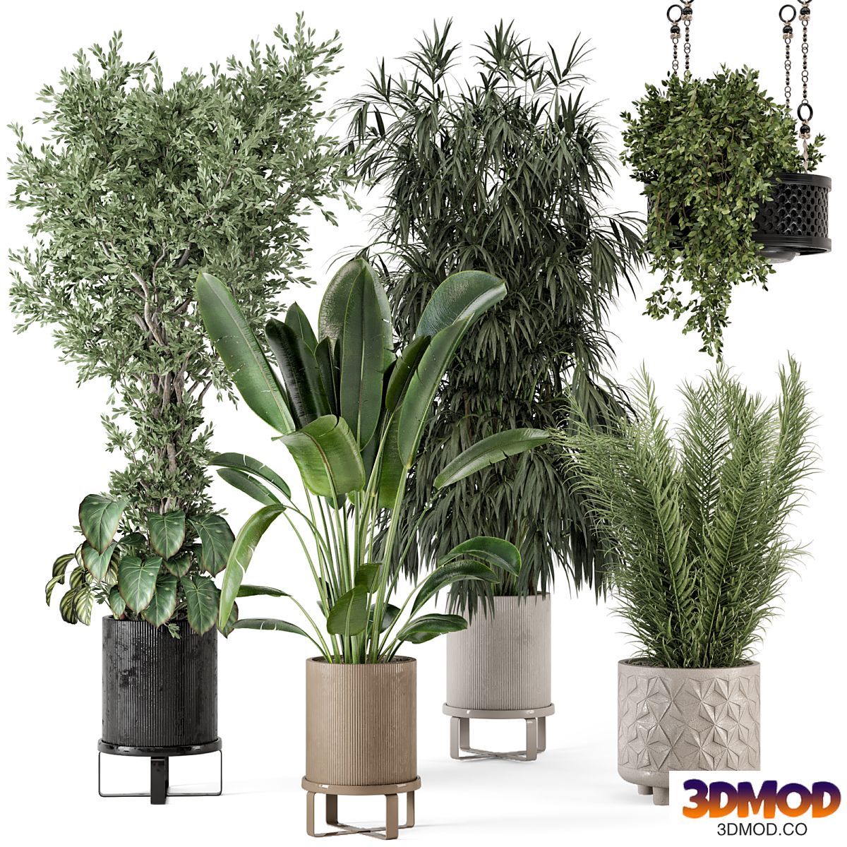Indoor Plants in Ferm Living Bau Pot Large - Set 474