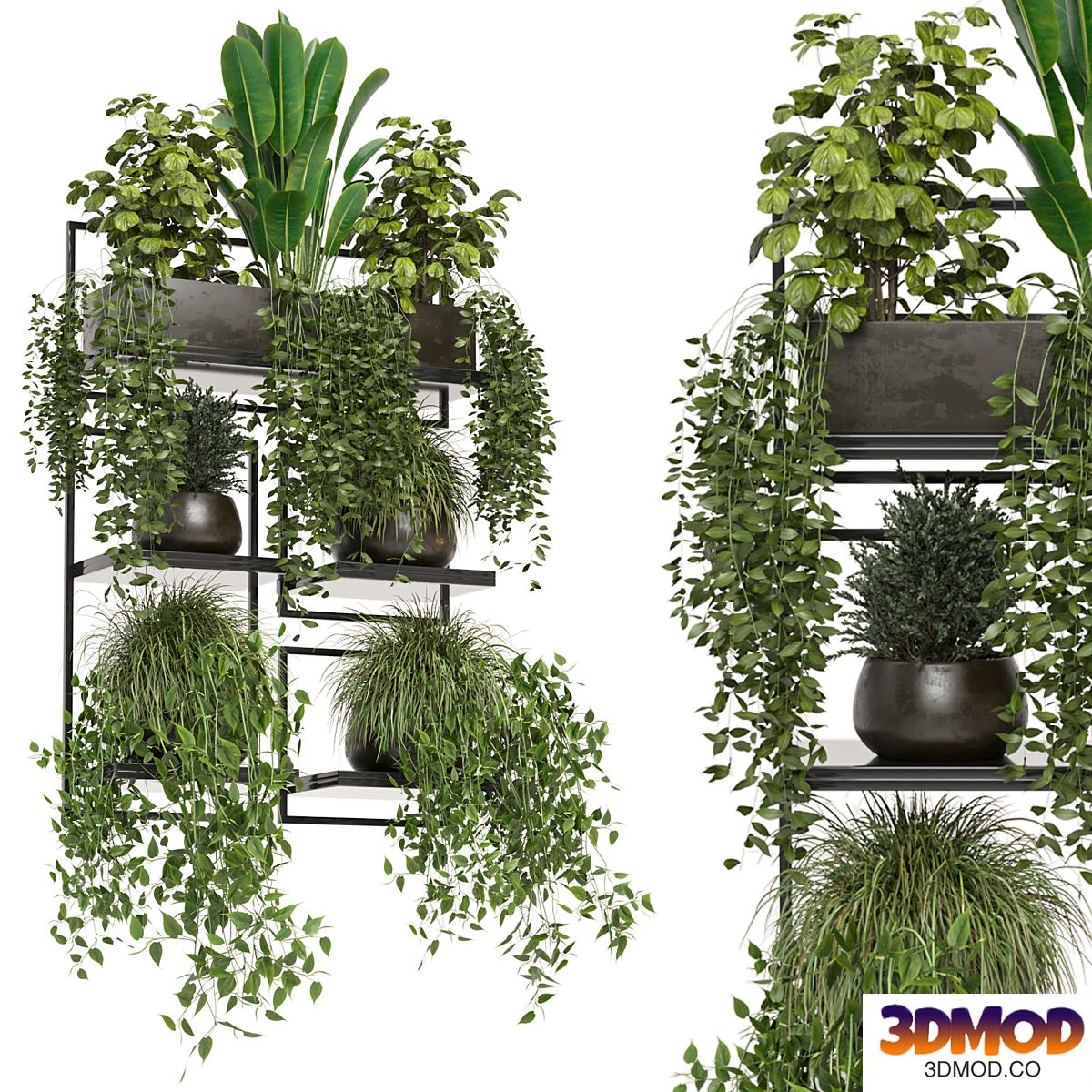 indoor plants in rusty concrete pot on metal shelf - Set 207