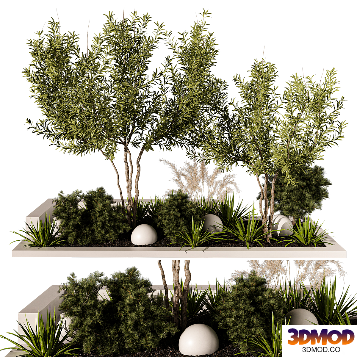 Outdoor Plant 242