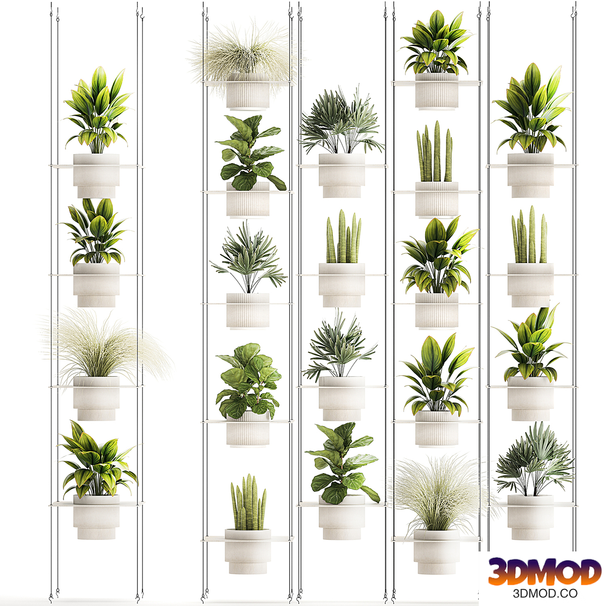 Plant collection 1419