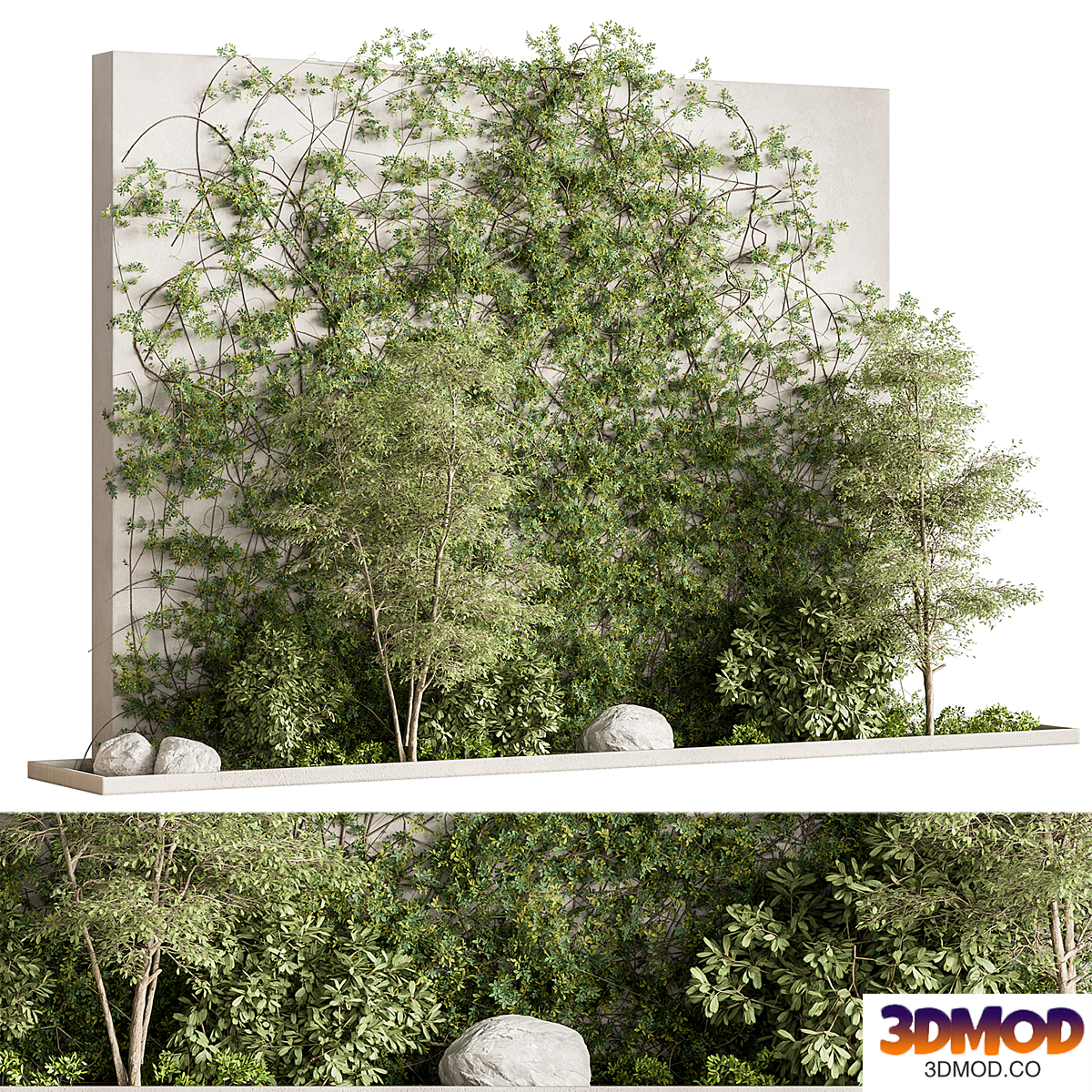 Plant Box Garden - Outdoor Plants 575