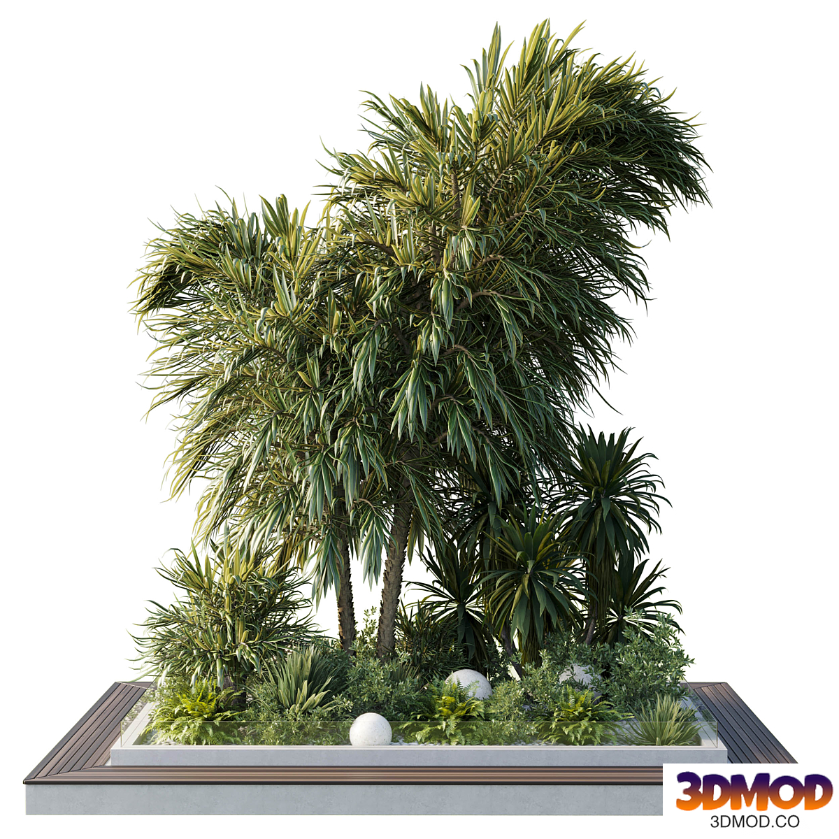 A Garden of Plants shrubs and palms - outdoor garden set 164