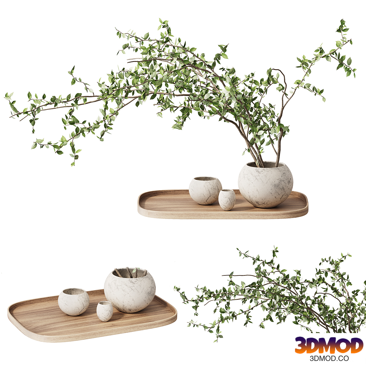 plum branch