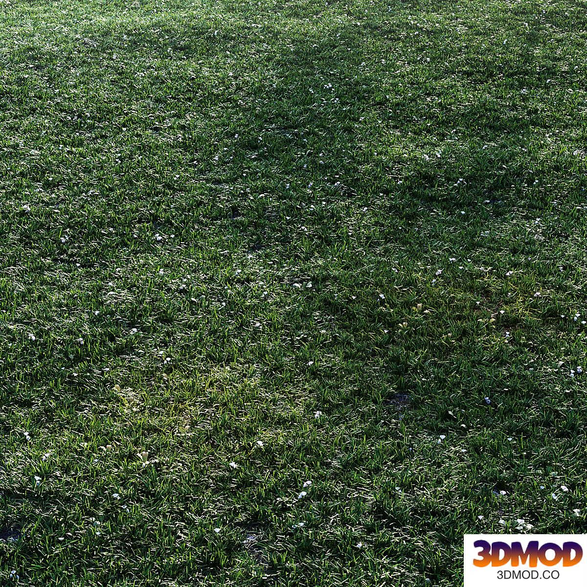 Grass set with flowers
