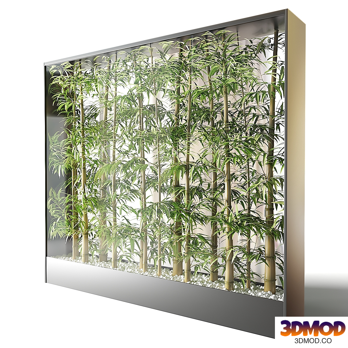 Bamboo in a glass container, office partition