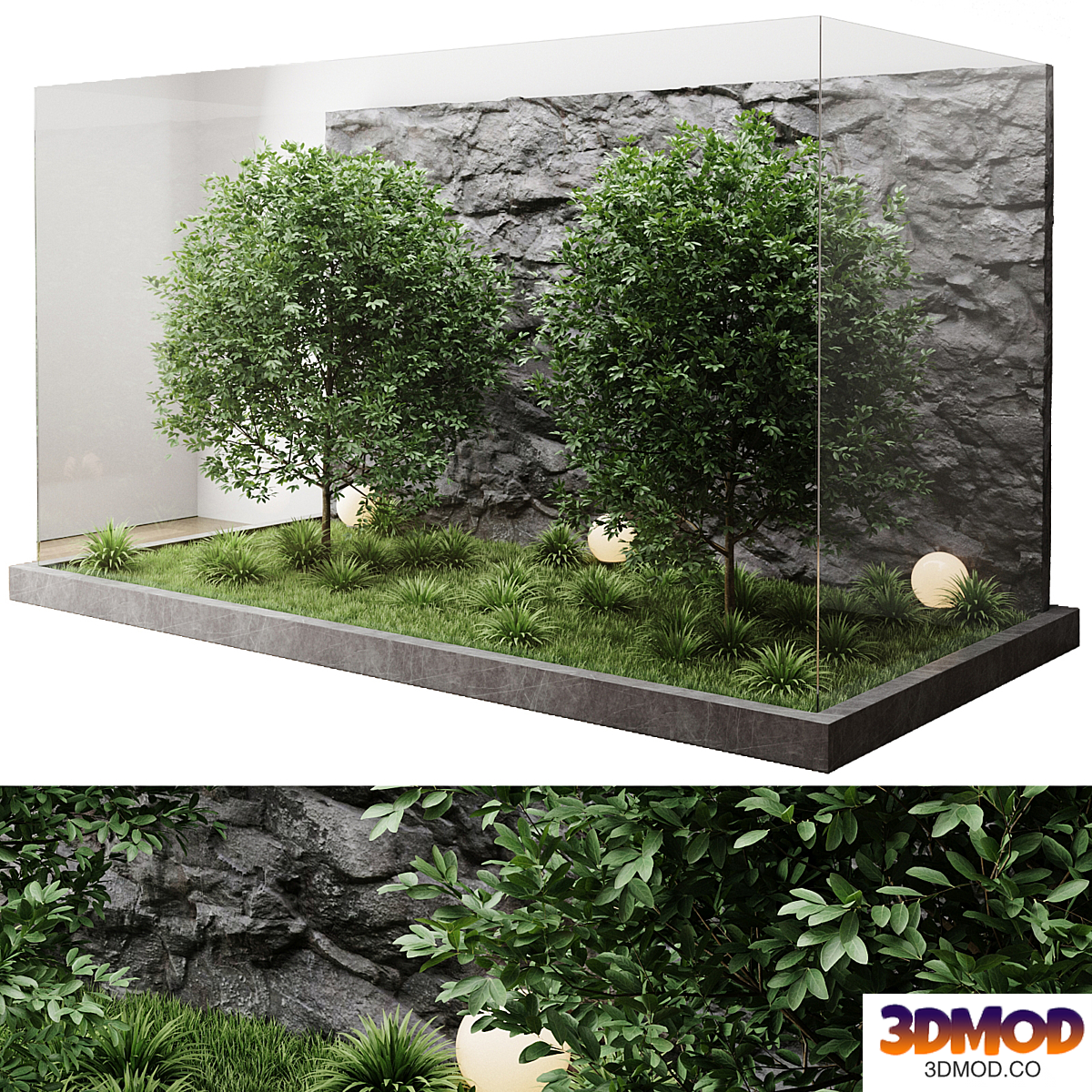 Plants behind the glass