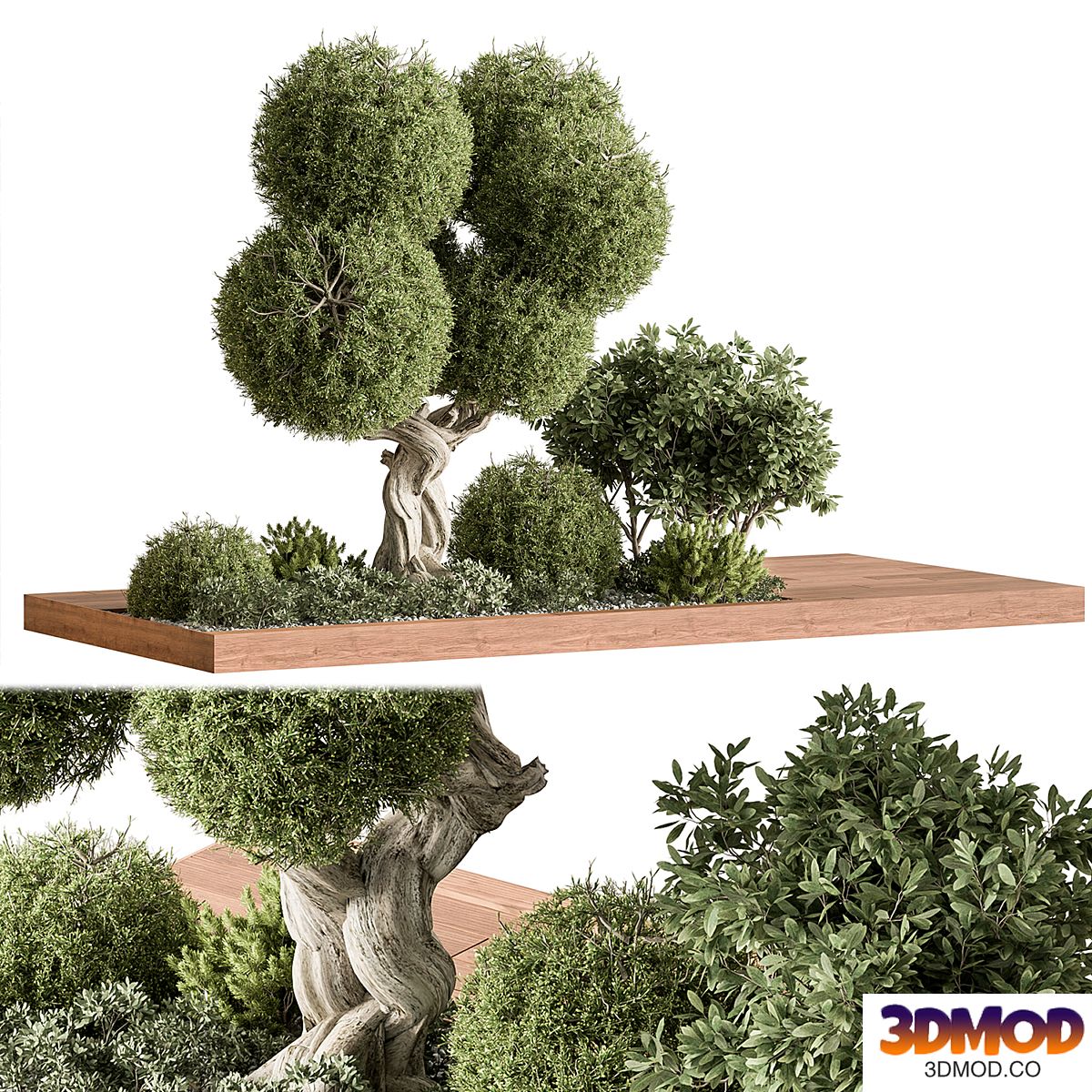 Plant Box Garden - Outdoor Plants 564