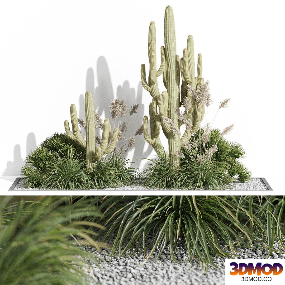 Plants collection 1001