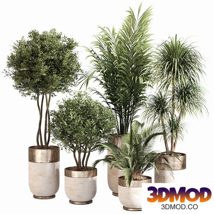 Indoor Plant Set 053