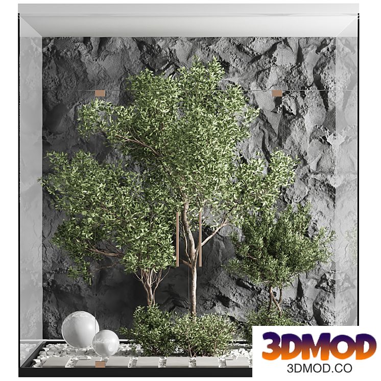 indoor plant set 29