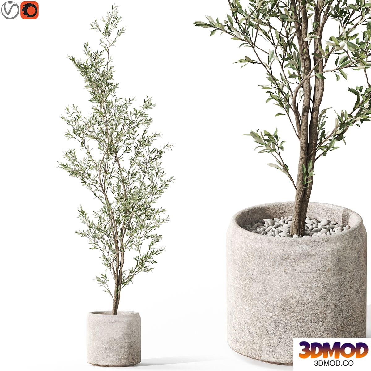 Plants collection 1050