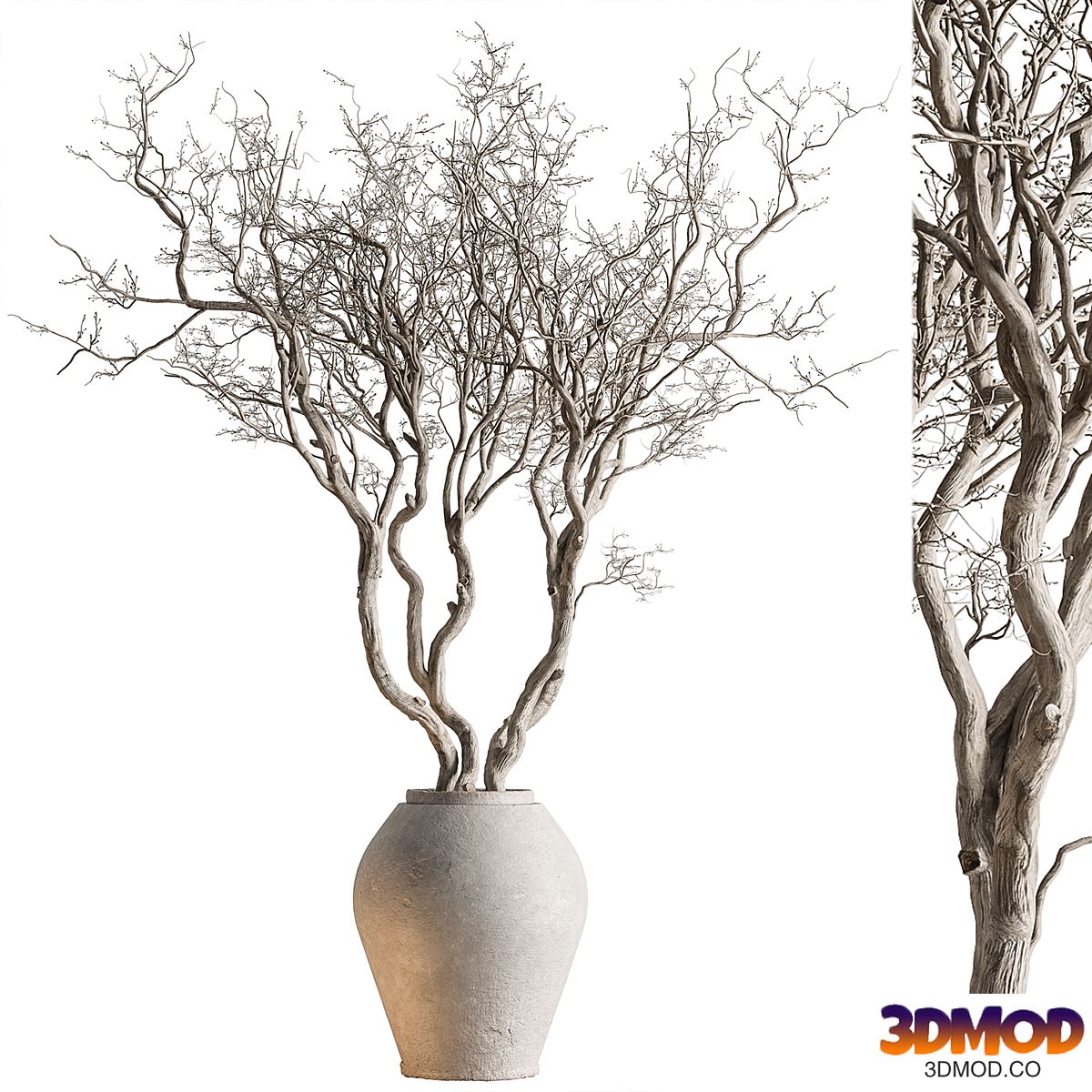 Indoor Plant 703 - Dry Tree