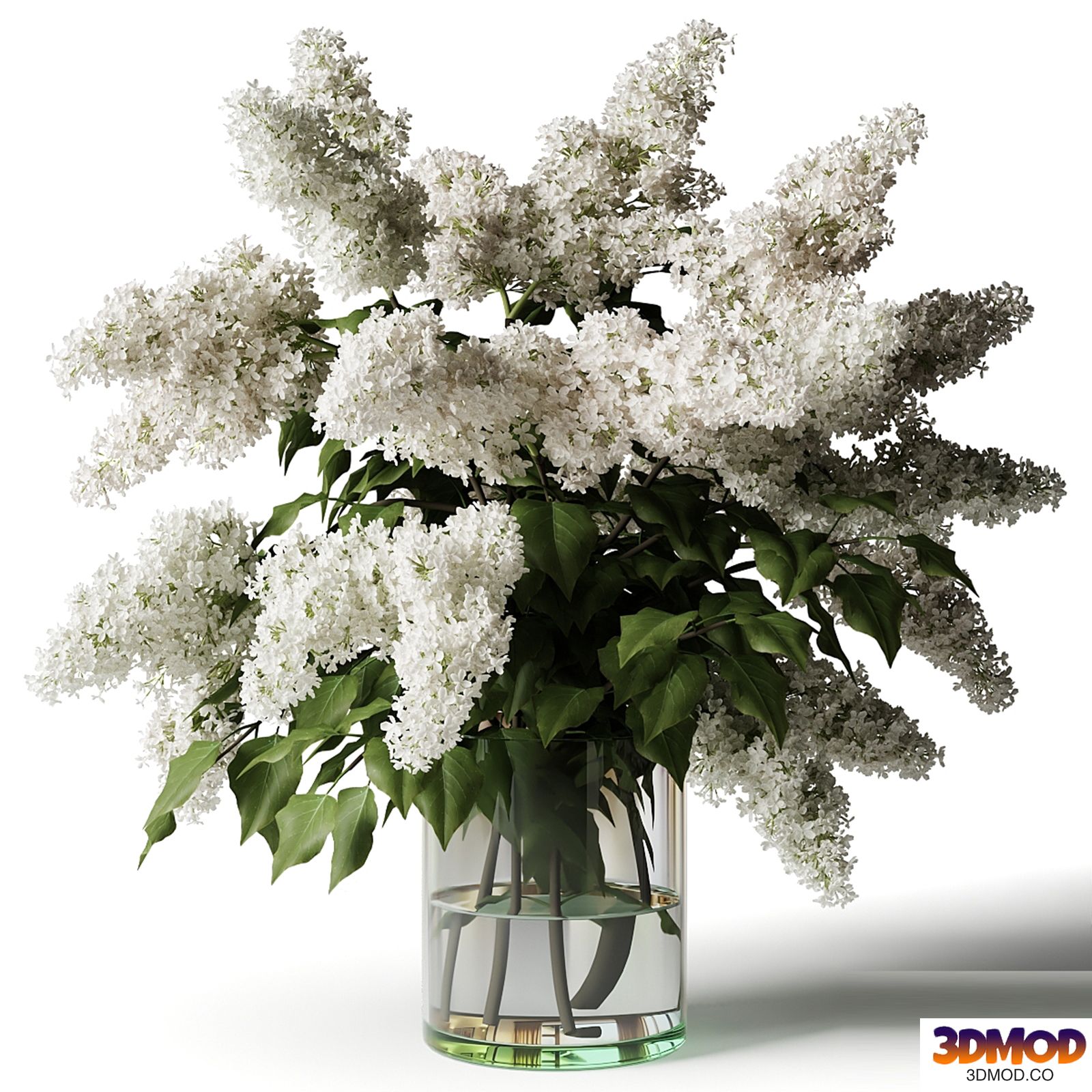 A bouquet of lilacs in a glass vase
