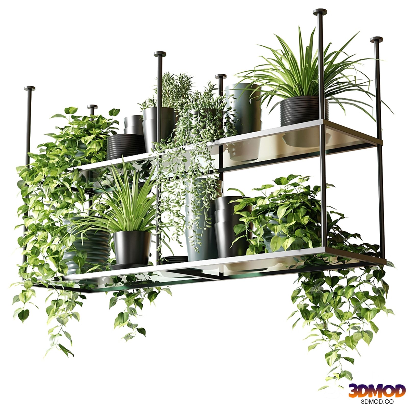 Hanging shelf with plants for the kitchen