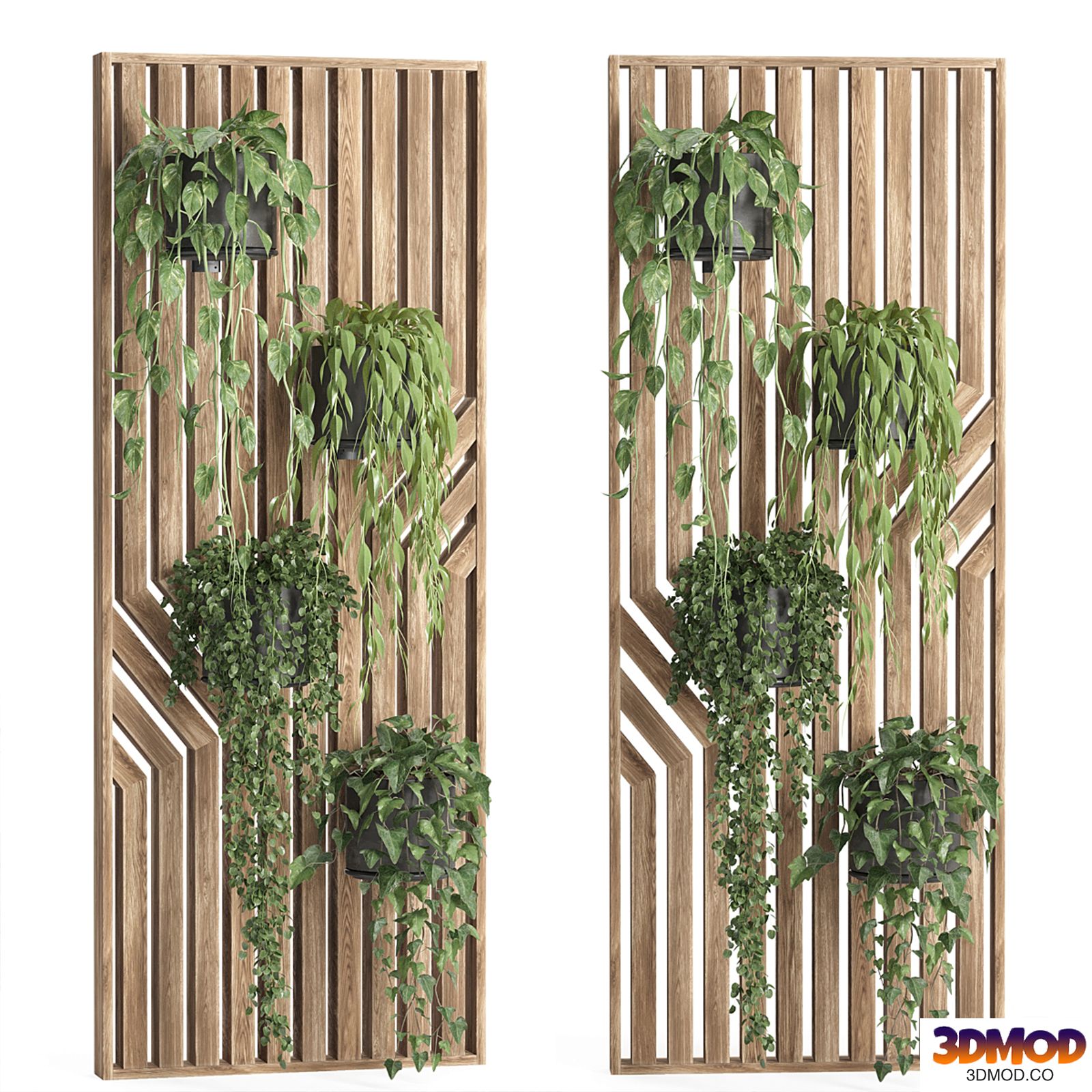 hanging plant-wooden wall