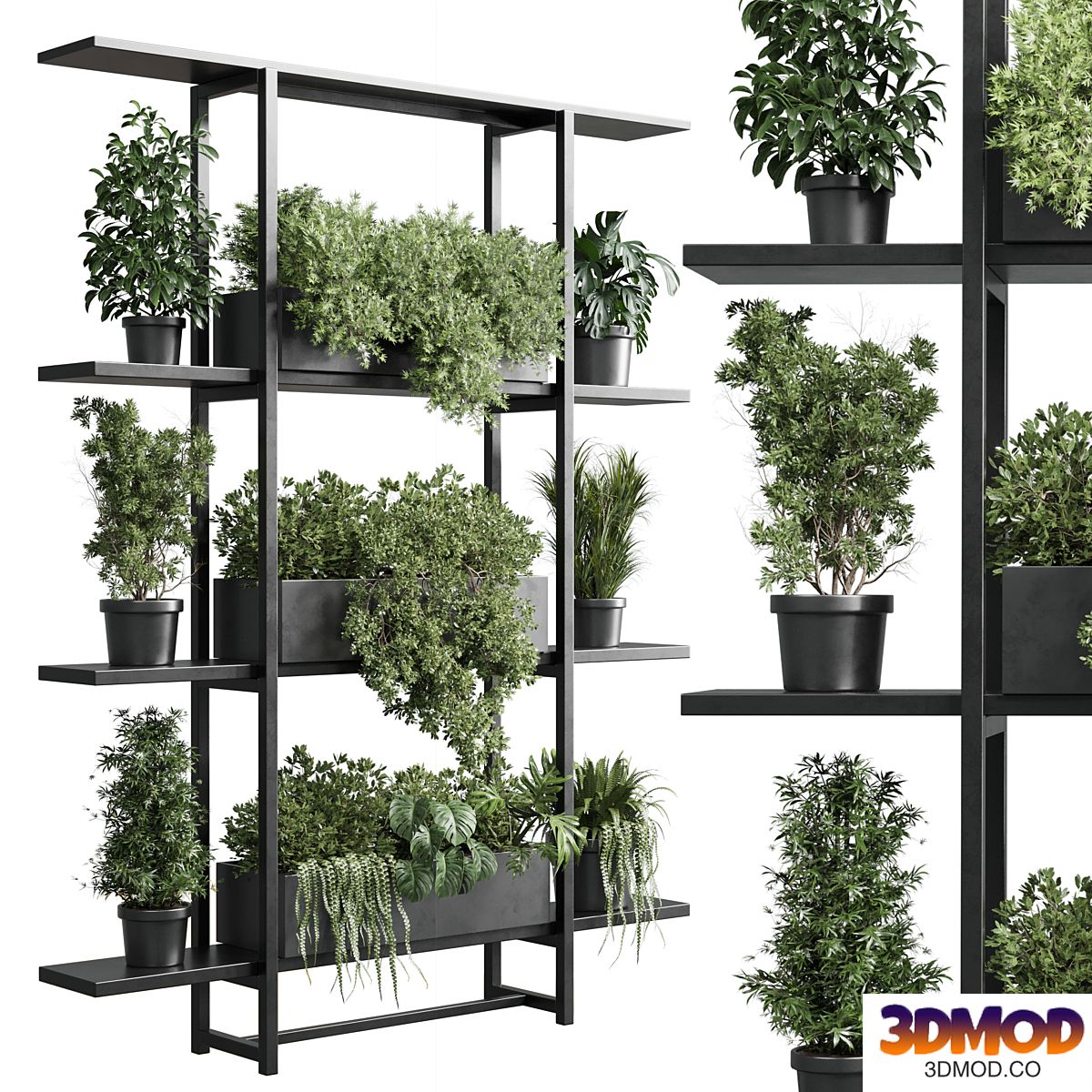 Standing metal shelf with a set of plants in metal and metal boxes 313 corona