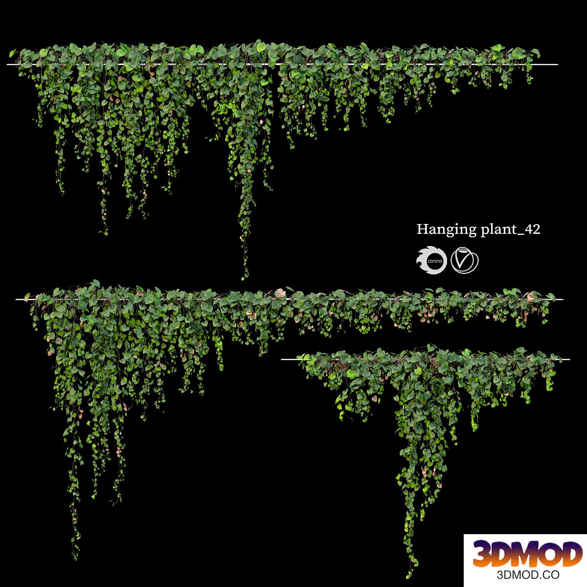 Hanging plant 42
