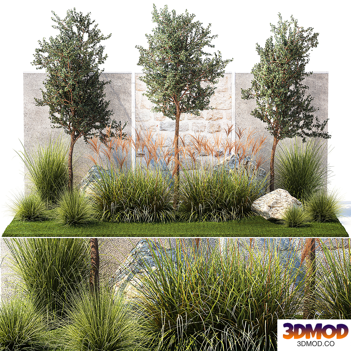 Collection of plants garden with bushes and trees large-sized for landscape design with grass grass, Miscanthus, fan, boulder. Set 1391.