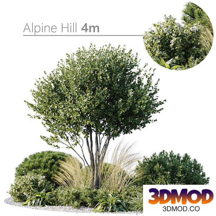 Outdoor Plants 3