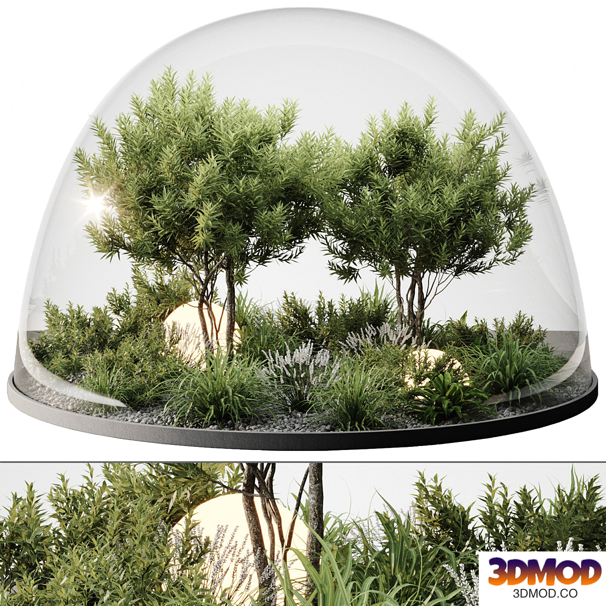 Plants behind the sphere glass