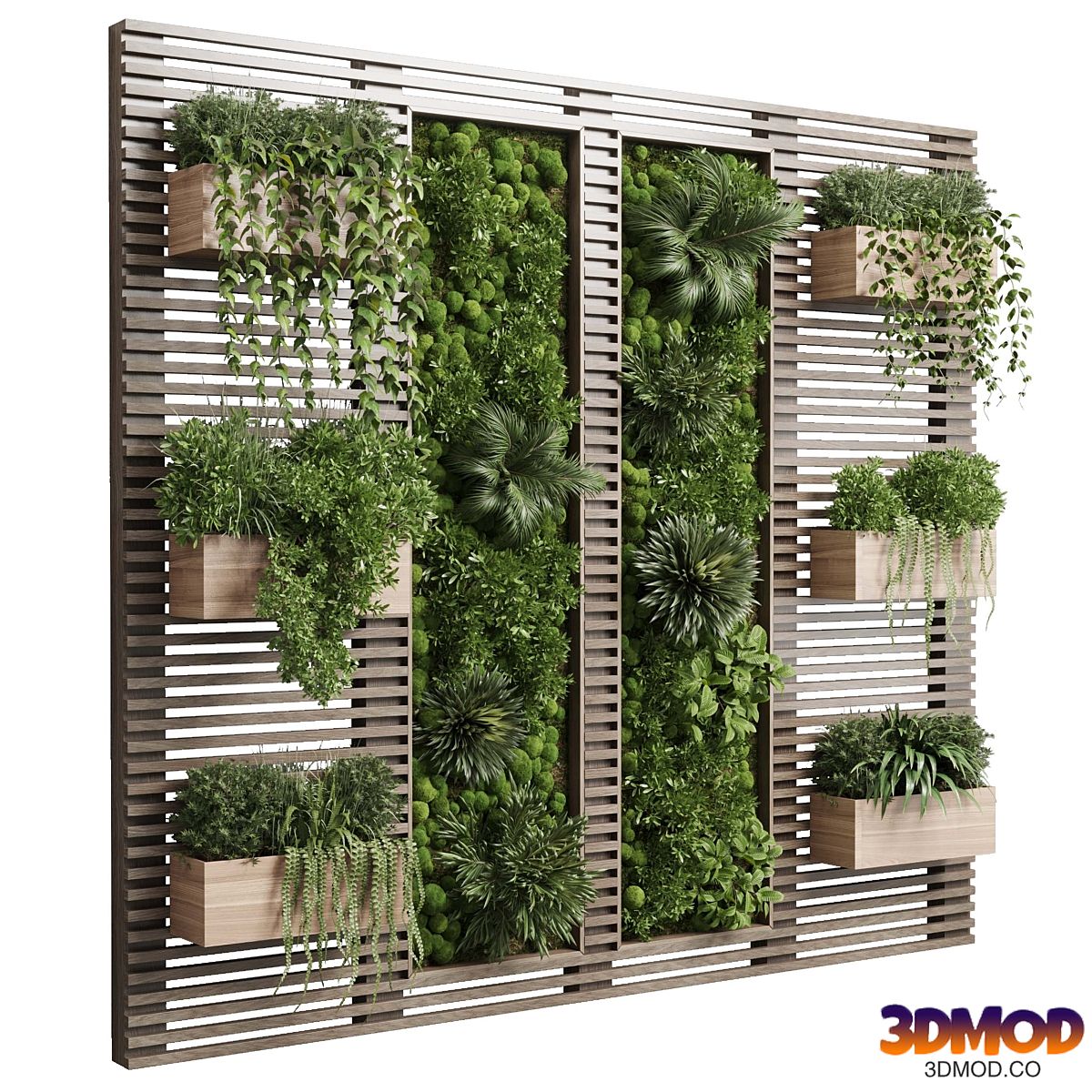 plants set partition in wooden frame - Vertical moss graden wall decor set 69