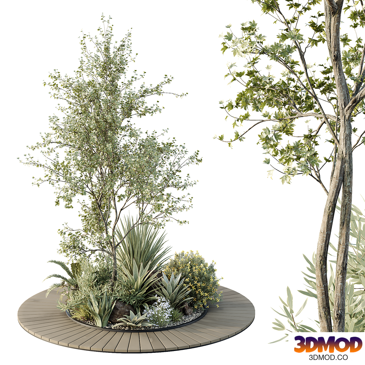 HQ Tree and bush garden box outdoor VOL 15