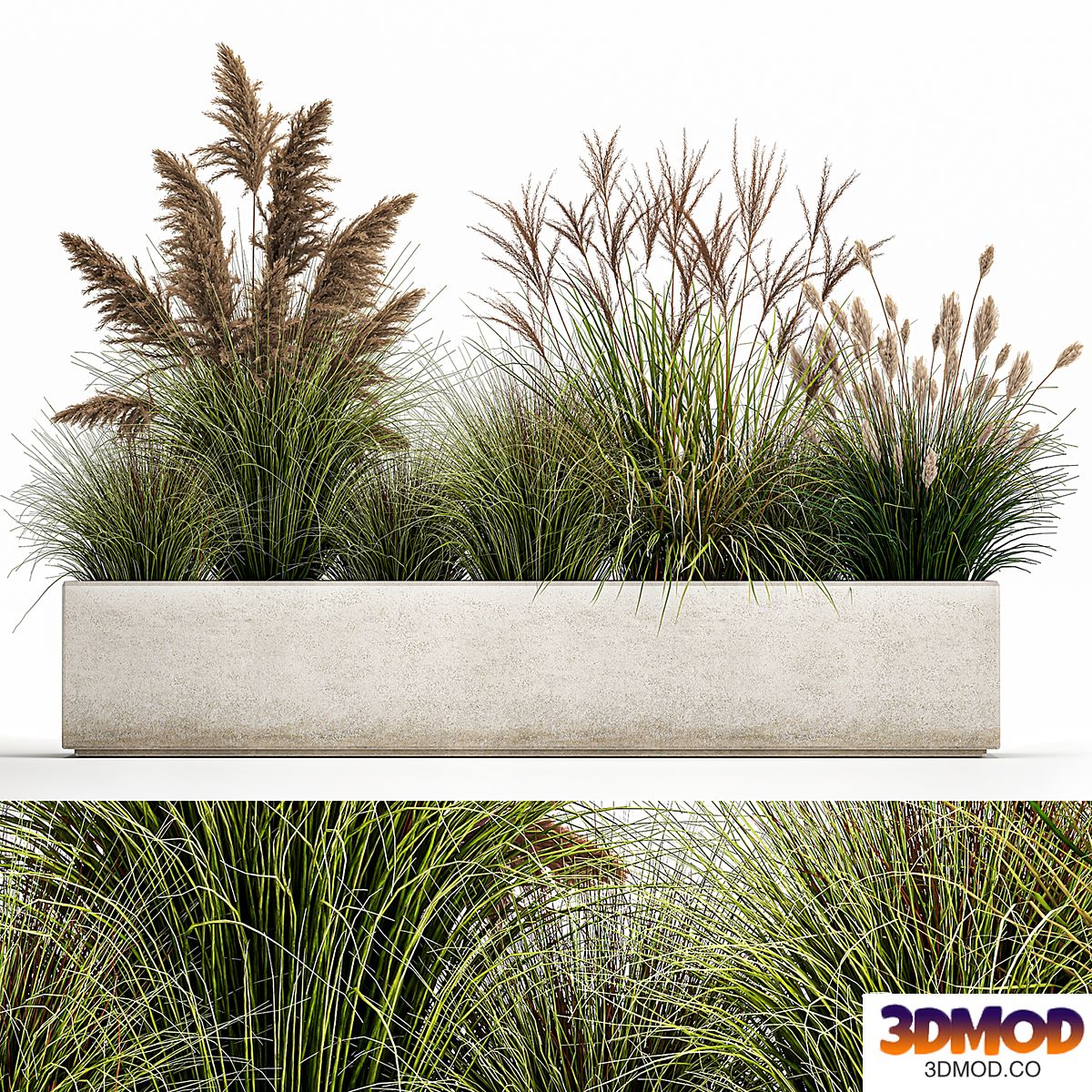 Collection of potted plants with Pampas grass, reeds, flower bed, bushes, landscaping. Set 1078