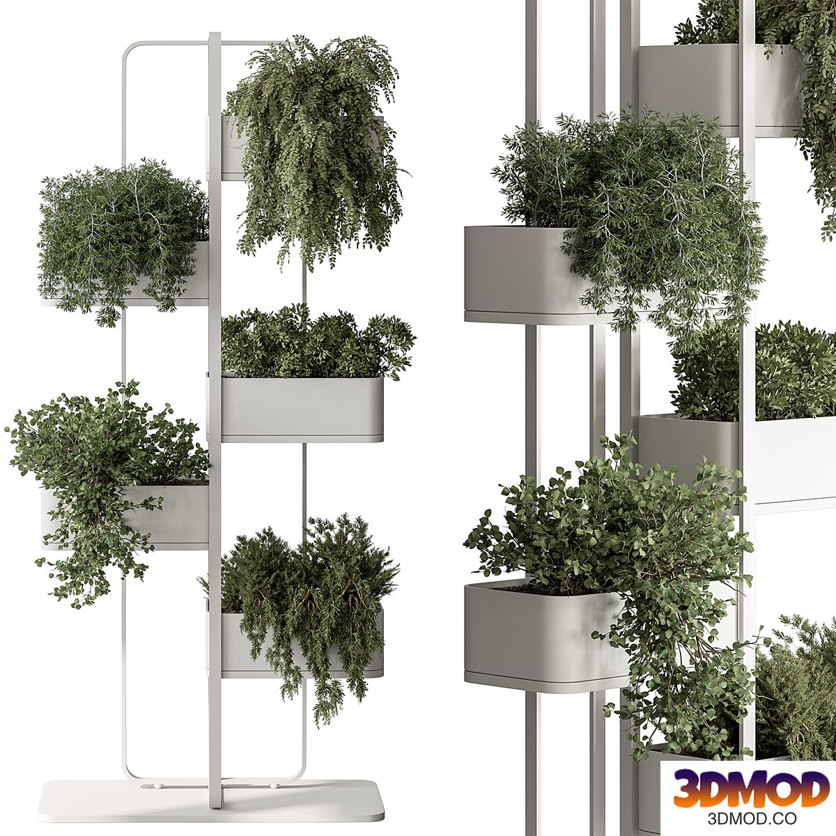 indoor Plant 529 - Plant Stand