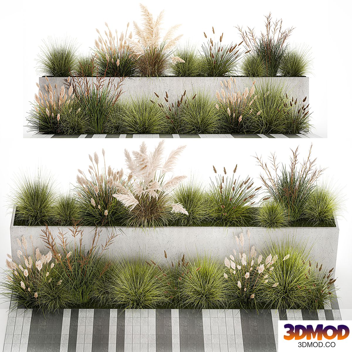 Bushes with paving slabs in a pot with Pampas grass, grass grass and Cortaderia. Set of plants 1169.