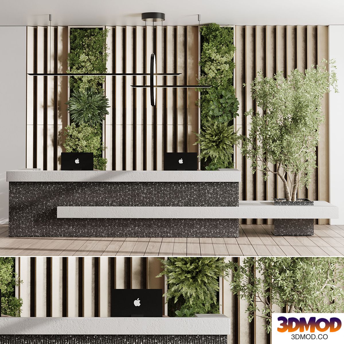 Reception desk - office furniture - Vertical Wall Garden With concrete frame 24