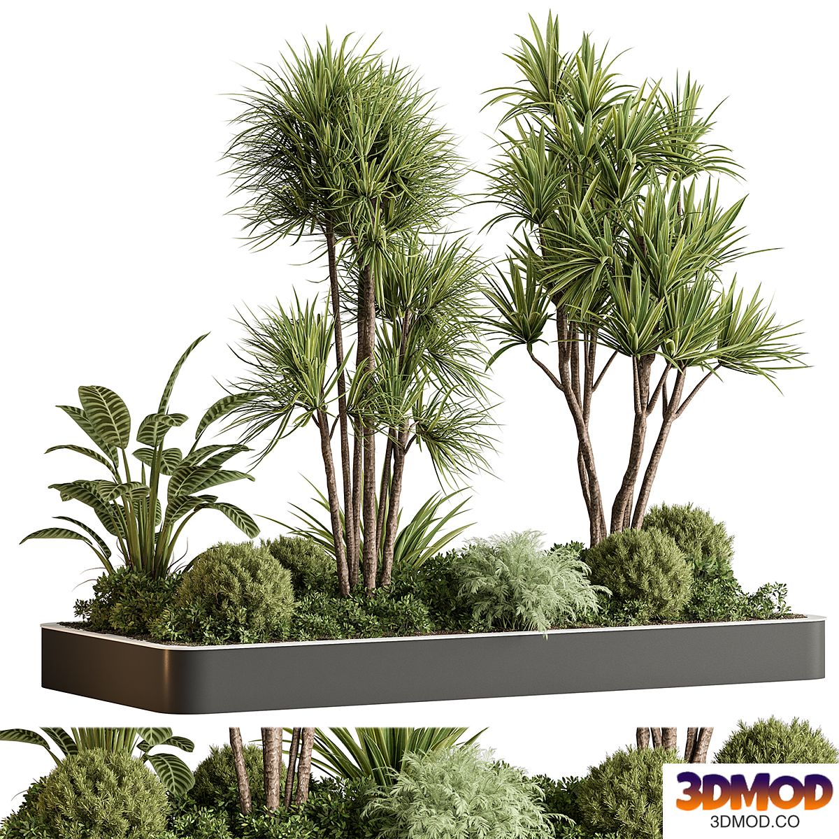 indoor Plant 611 - Plant Box