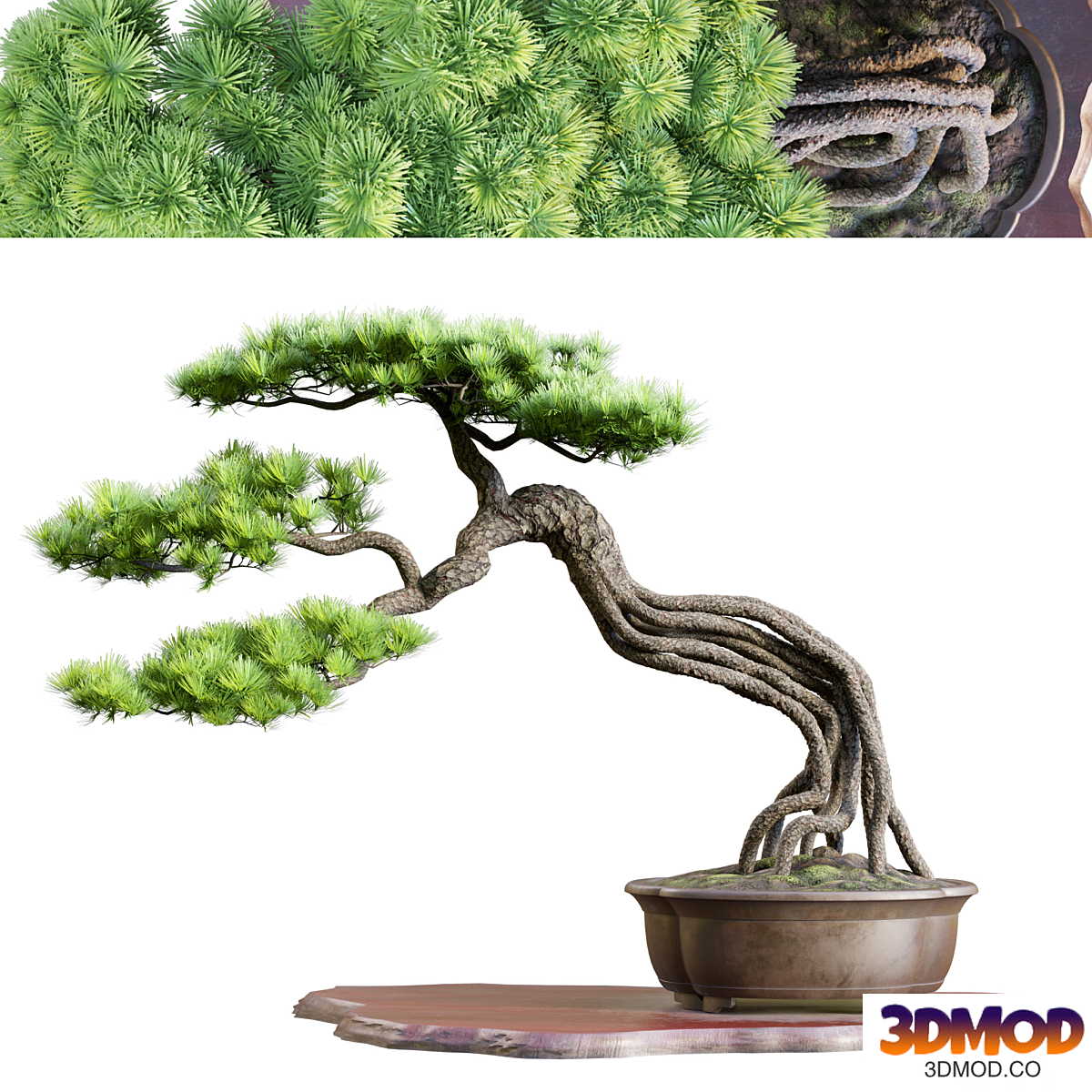 Bonsai 04 | PBR | Midpoly | HQ