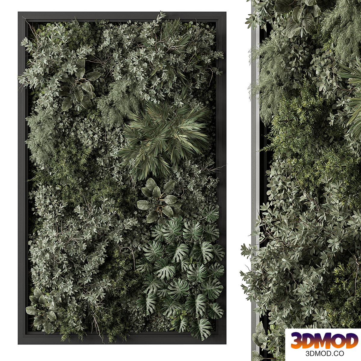 Vertical Garden - Green Wall 95