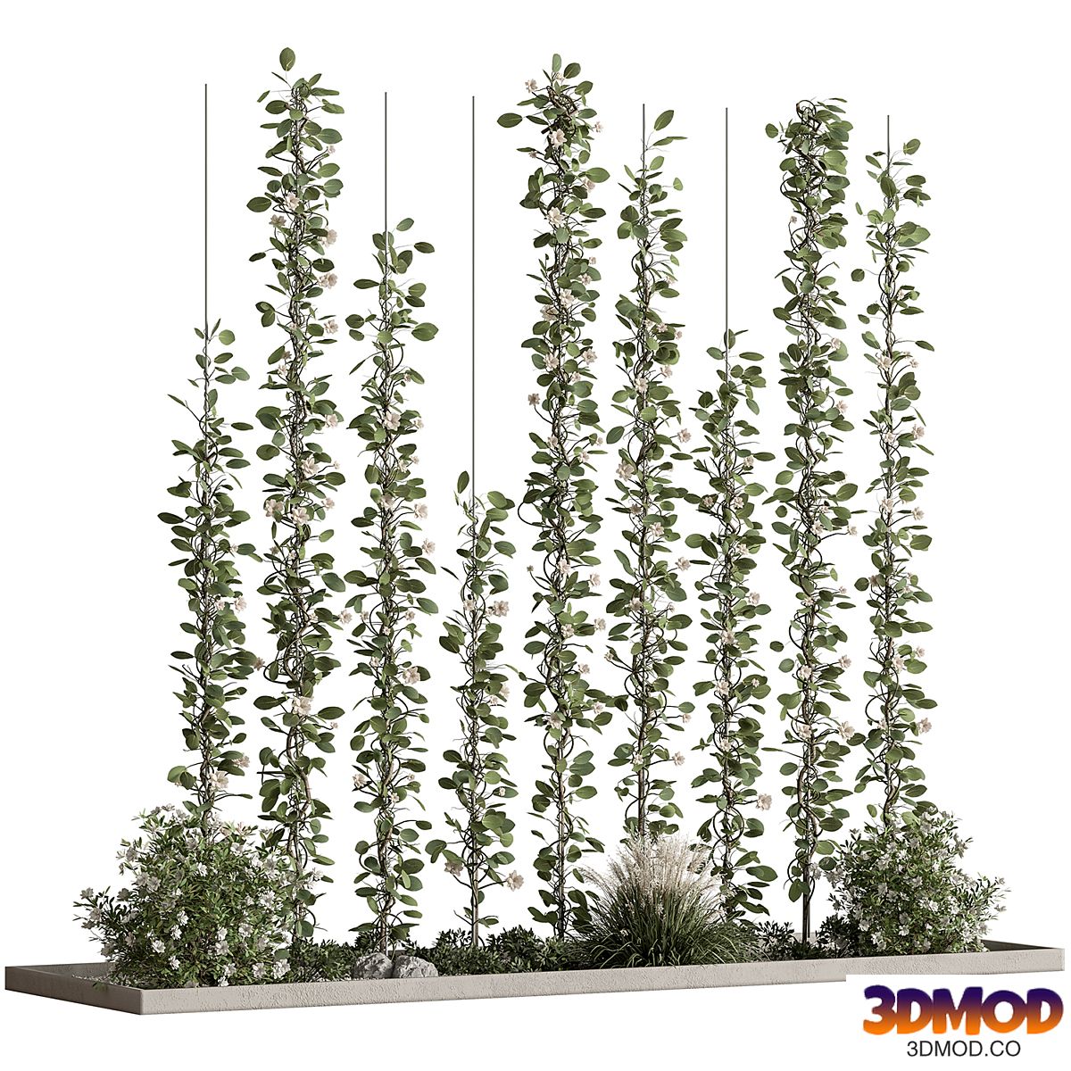 Plant Garden - Outdoor Plants 579
