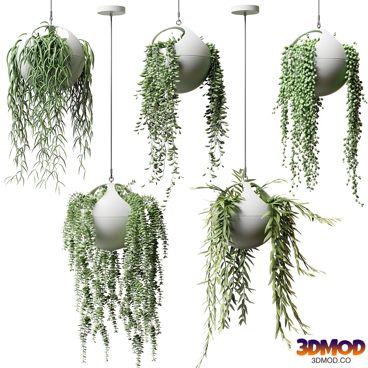 Hanging plants in flower pots | Hanged Plants in spherical hanging planters